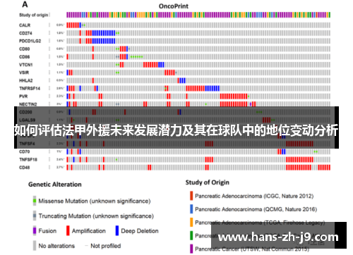 如何评估法甲外援未来发展潜力及其在球队中的地位变动分析